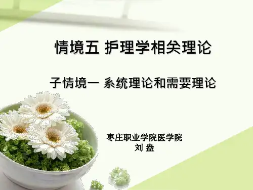 护理学导论一般系统论和需要理论.