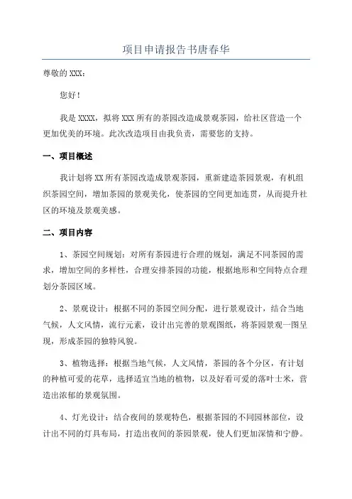 项目申请报告书唐春华
