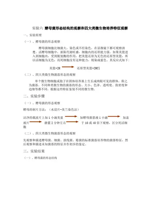 酵母菌形态结构的观察和四大类微生物培养特征观察