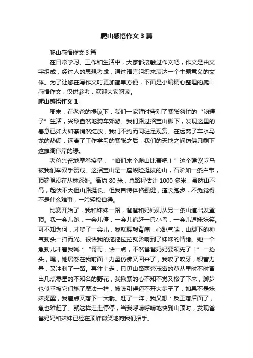 爬山感悟作文3篇