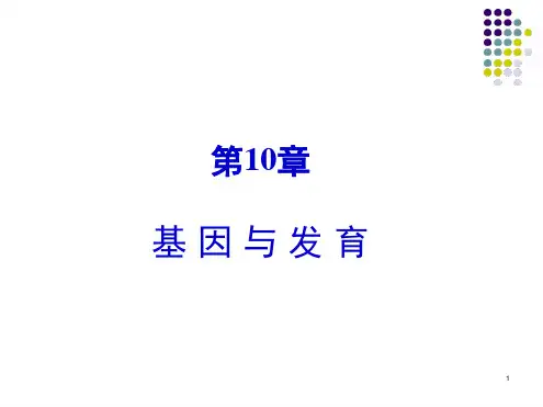 第10章 基因与发育