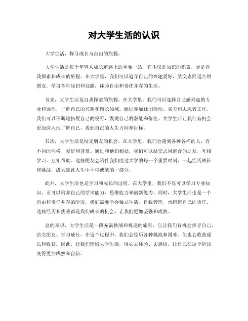 对大学生活的认识
