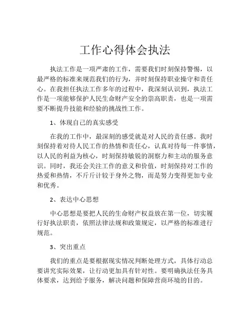 工作心得体会执法