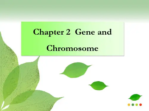 大学分子生物学经典双语课件