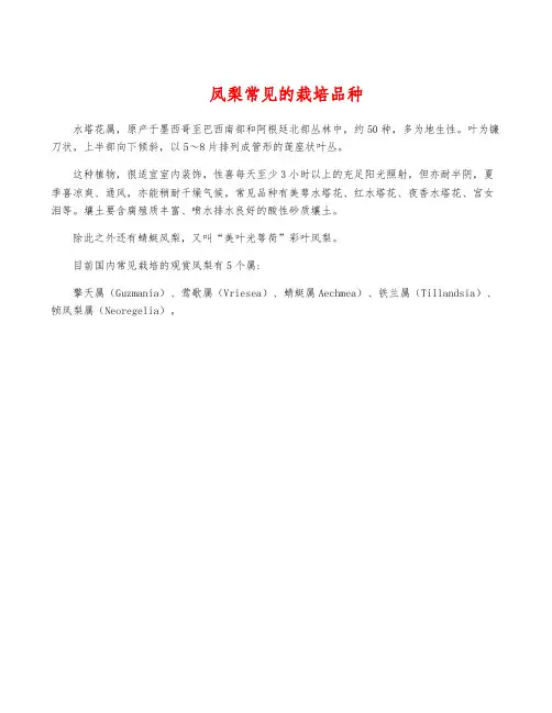 凤梨常见的栽培品种
