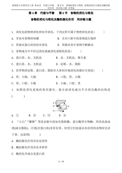 浙教版九年级科学上册 第4章 代谢与平衡   第2节  食物的消化与吸收 食物的消化与吸收及酶的催化