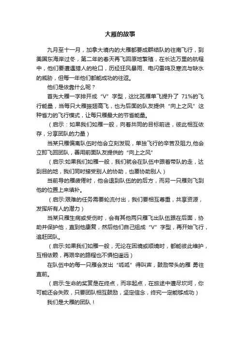 大雁的故事