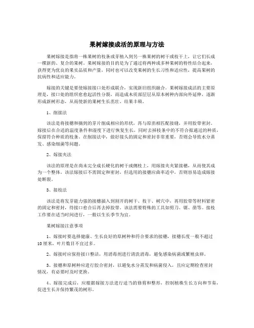 果树嫁接成活的原理与方法