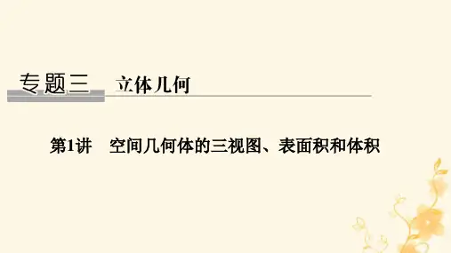高三数学二轮专题复习第1讲 空间几何体的三视图、表面积和体积