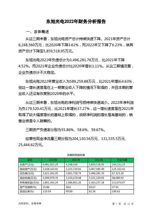 000413东旭光电2022年财务分析报告-银行版
