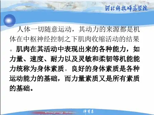 运动生理学肌肉力量