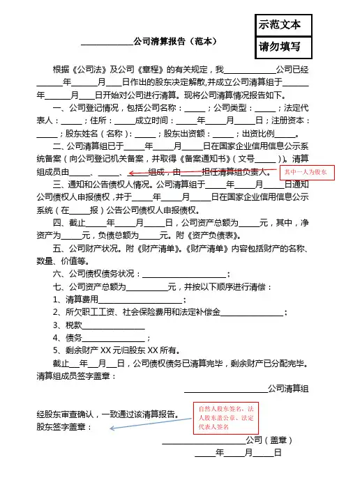一人有限公司清算报告(范本)