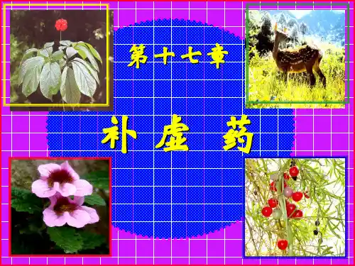 中医《中药学》PPT课件-补虚药