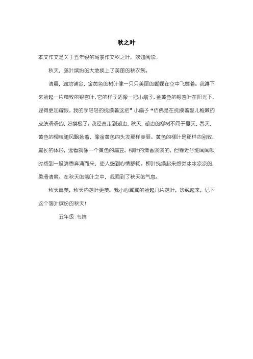 小学五年级写景作文：秋之叶_2