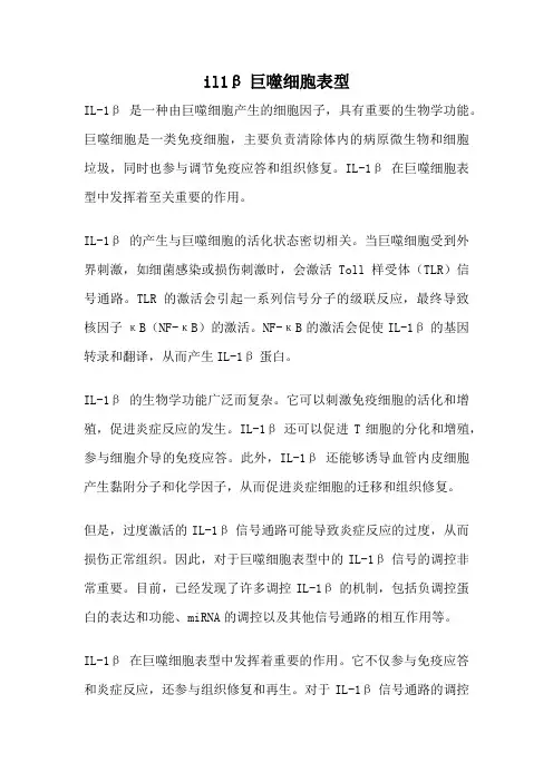 il1β巨噬细胞表型