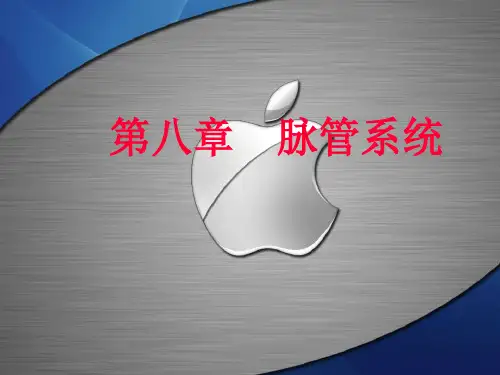 第八章 脉管系统(二)
