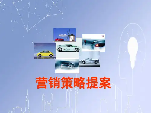 XX市汽车城项目提案
