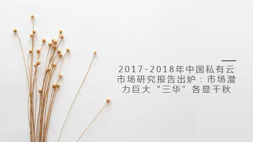 2017-2018年中国私有云市场研究报告出炉：市场潜力巨大