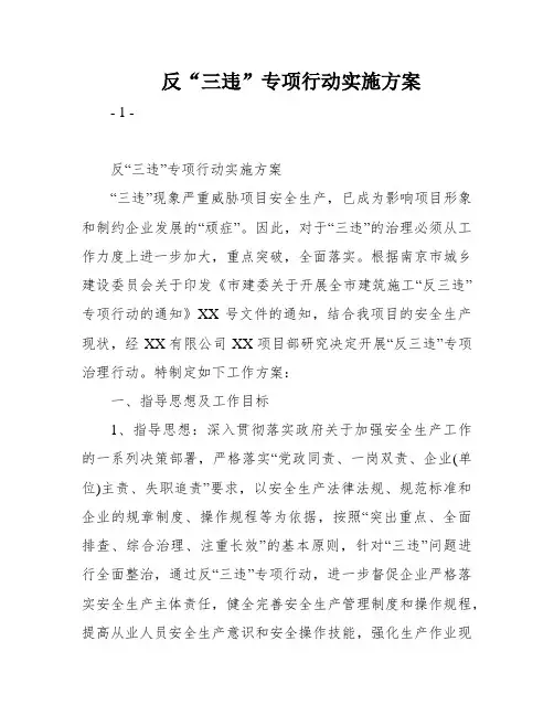 反“三违”专项行动实施方案