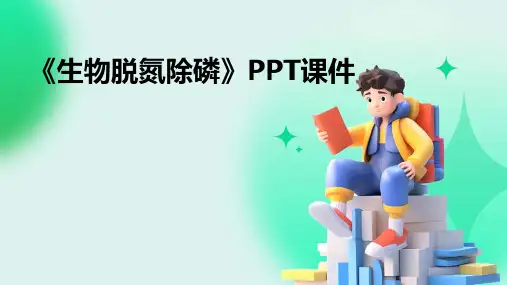 《生物脱氮除磷》课件
