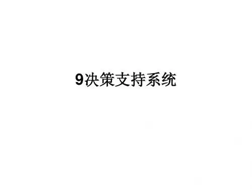 9决策支持系统