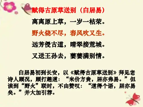 人教版语文必修三第6课《琵琶行》(并序)ppt课件