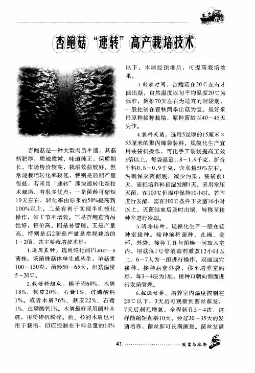 杏鲍菇“速转”高产栽培技术