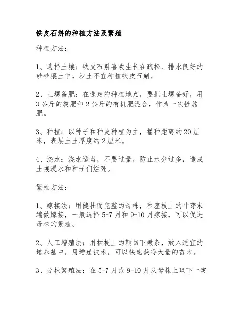 铁皮石斛的种植方法及繁殖