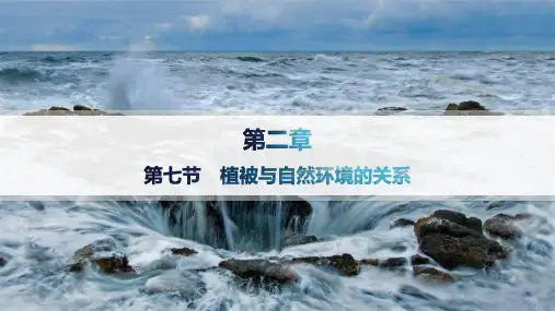 2024-2025学年高一地理必修第一册(配中图版)第2章第7节植被与自然环境的关系