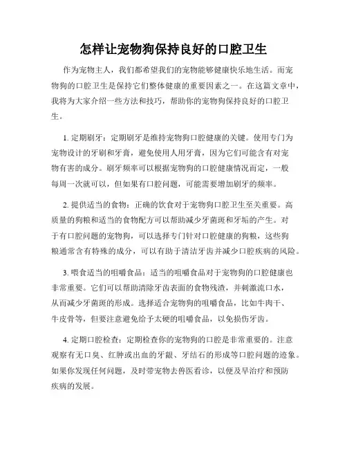 怎样让宠物狗保持良好的口腔卫生