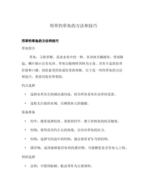 用草钓草鱼的方法和技巧