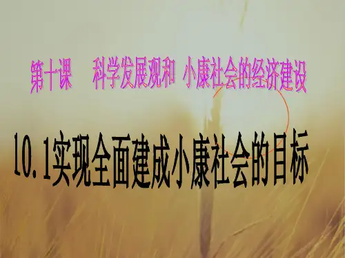 陕西省安康市石泉县江南高级中学高中政治必修一课件：10-1实现全面建成小康社会的目标 共14张 精品