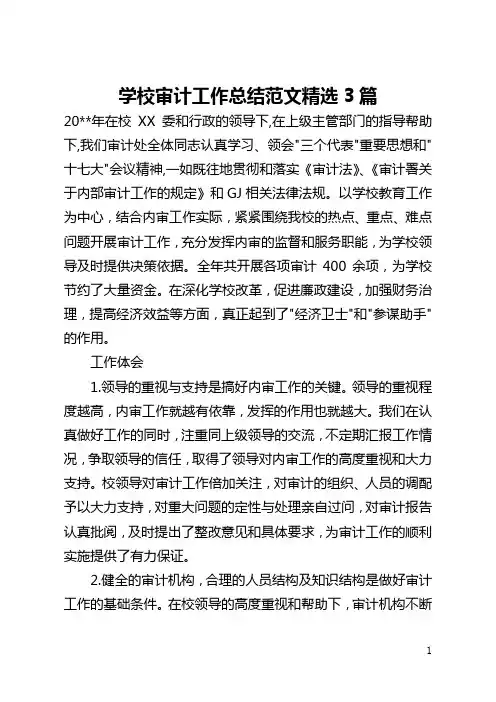 学校审计工作总结范文精选3篇(全文)