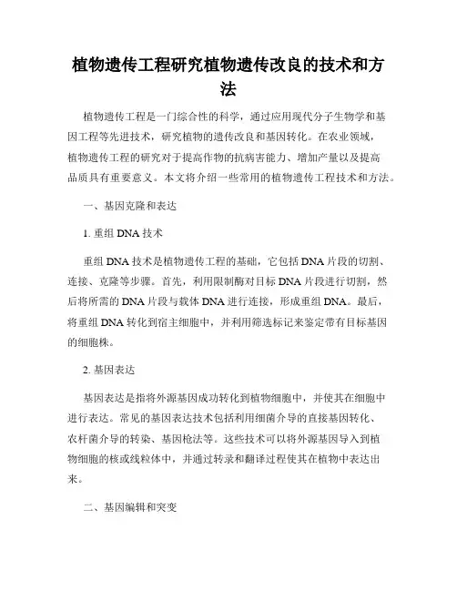 植物遗传工程研究植物遗传改良的技术和方法