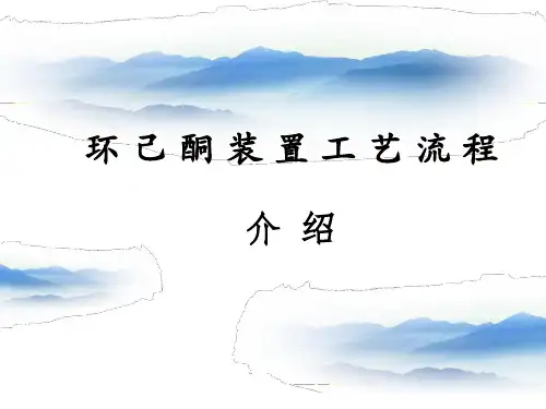 环己酮装置工艺流程资料 共21页