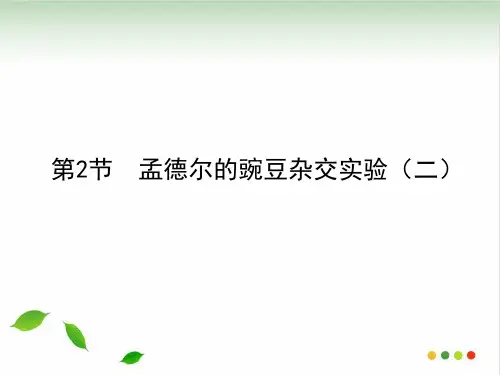 最新人教版《孟德尔的豌豆杂交实验(二)》PPT课件1