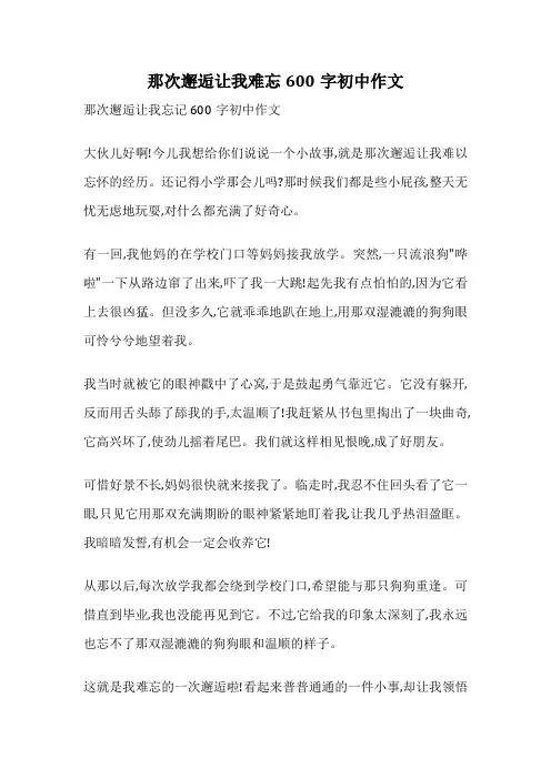 那次邂逅让我难忘600字初中作文