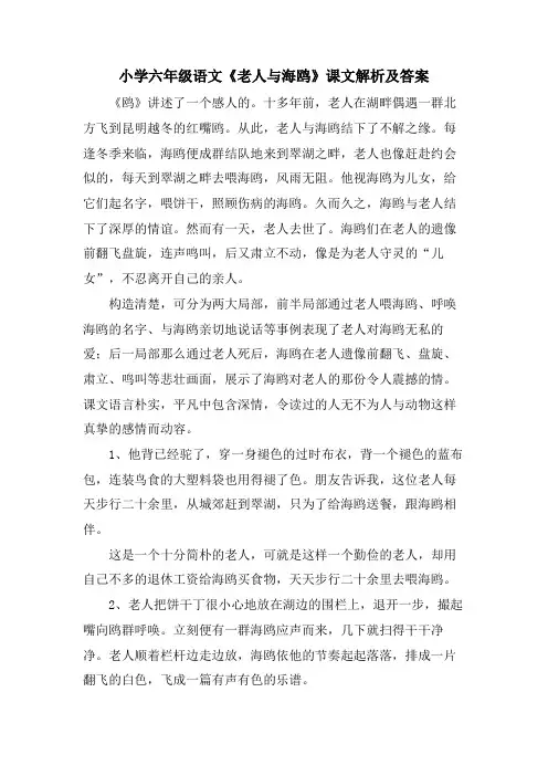 小学六年级语文《老人与海鸥》课文解析及答案