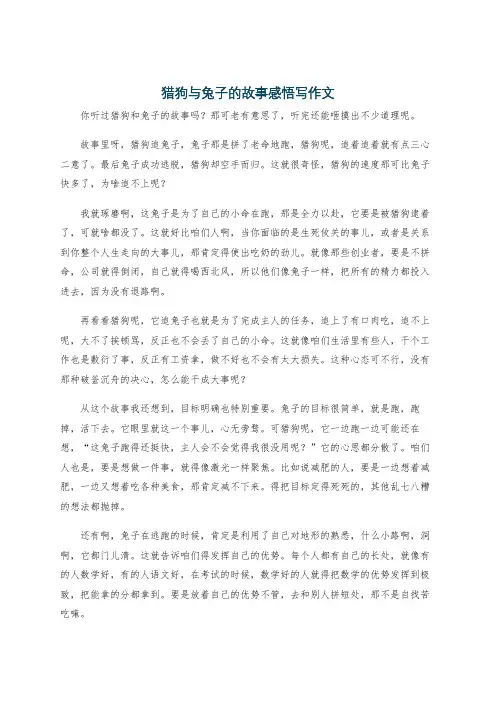 猎狗与兔子的故事感悟写作文