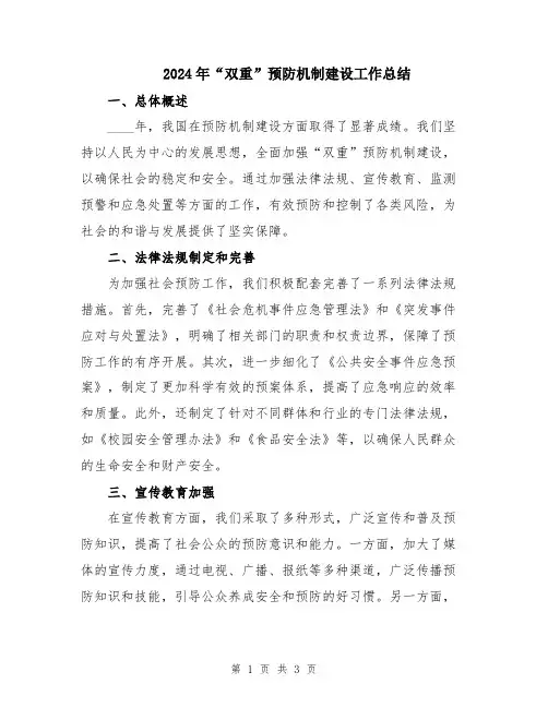 2024年“双重”预防机制建设工作总结