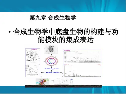 第九章 合成生物学