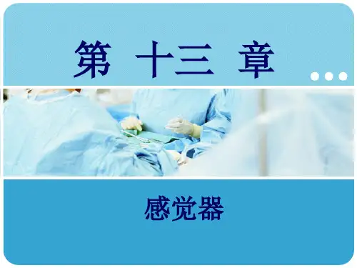 《人体解剖学》 (5)
