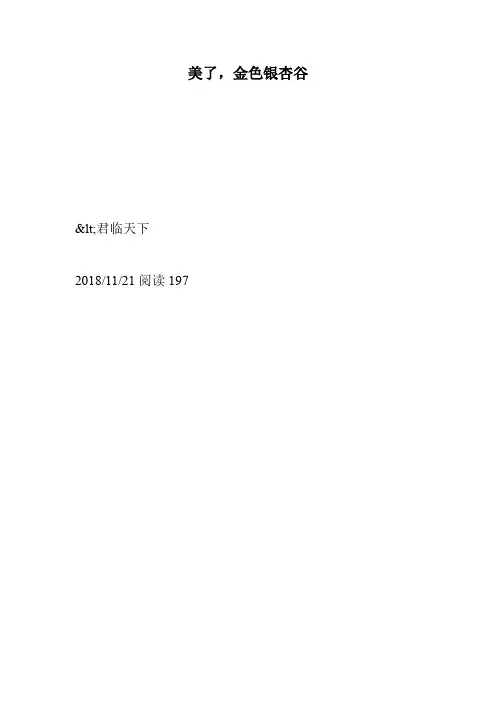 美了,金色银杏谷