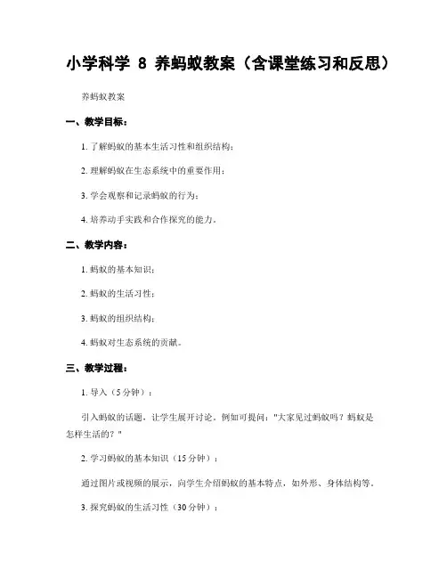 小学科学8养蚂蚁教案(含课堂练习和反思)
