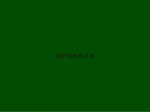 锅炉的燃烧系统