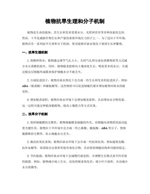 植物抗旱生理和分子机制