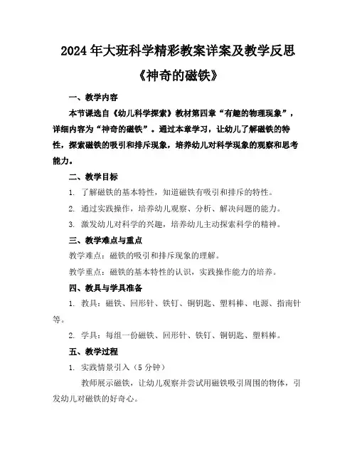 2024年大班科学精彩教案详案及教学反思《神奇的磁铁》