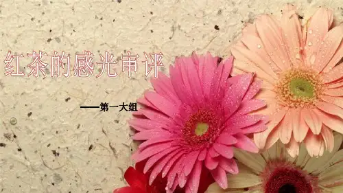 红茶审评 PPT课件