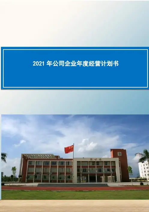 2021年度经营计划书
