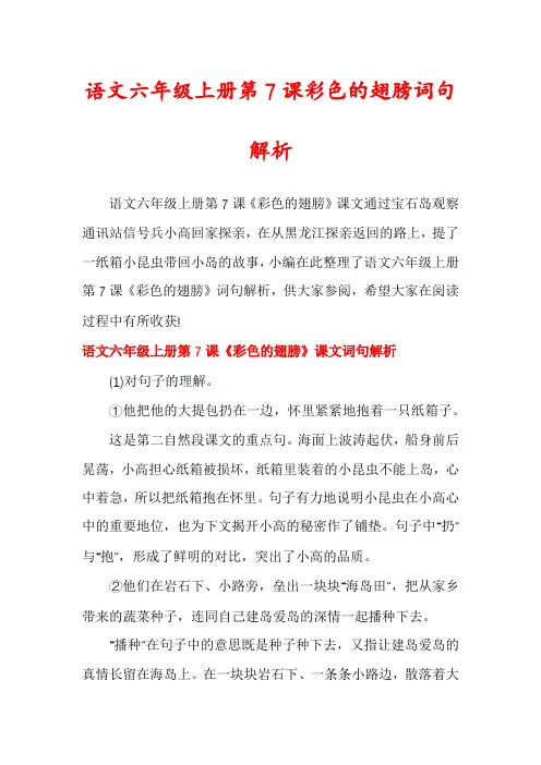 语文六年级上册第7课彩色的翅膀词句解析